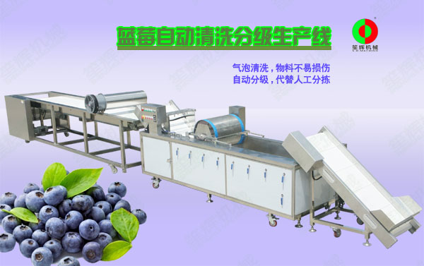 东山蓝莓/蔬果全自动清洗分级生产线